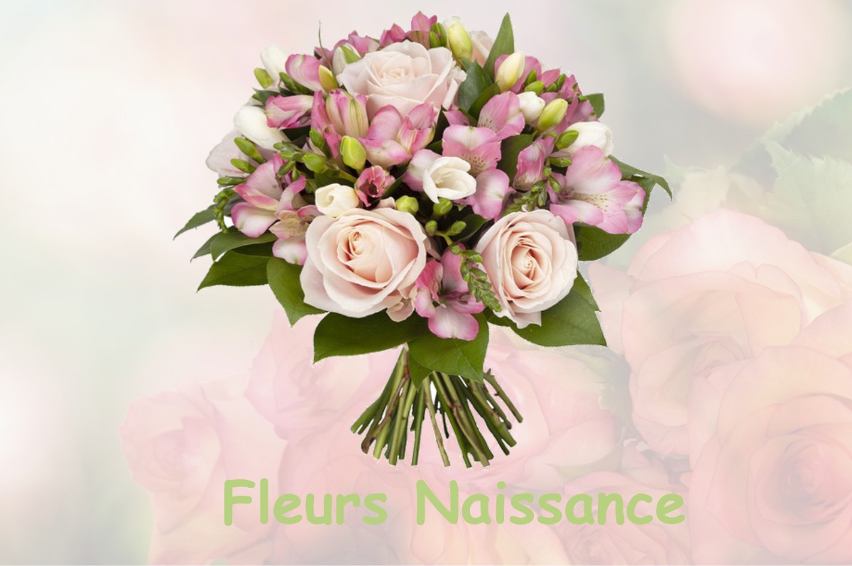 fleurs naissance SAINT-NAZAIRE-LE-DESERT